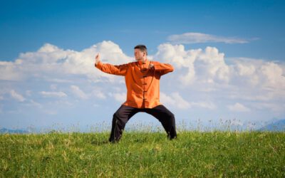 Wildgans Qigong – in 10 Minuten körperlich und geistig fit?