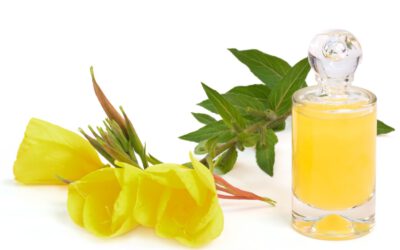 Nachtkerzenöl – nächtliche Blütenpracht mit Wirkung