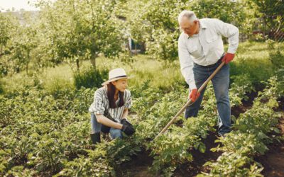 Gartenarbeit als Fitnesstraining: Vorzüge eines grünen Daumens