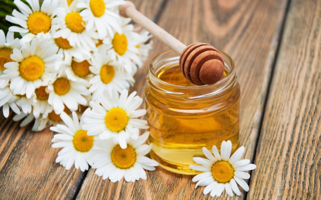 Honig als natürlicher Lebensverlängerer