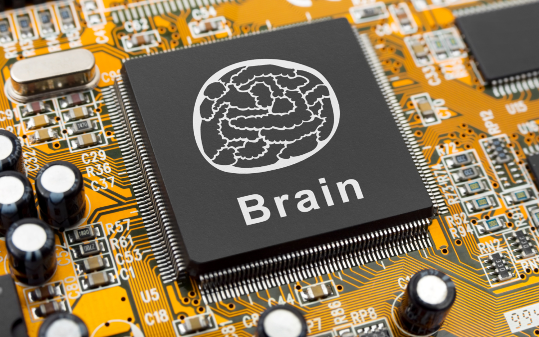 Das menschliche Gehirn und Gedächtnis