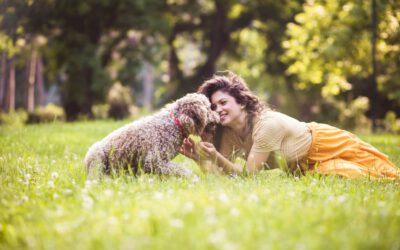 Wenn Hunde alt werden – Tipps für eine glückliche und gesunde Zeit