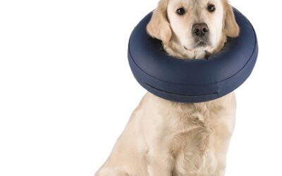 Aufblasbarer Schutzkragen für Hunde und Katzen